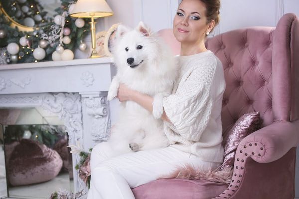 A calm workspace with a laptop and a plant, suggesting a moment of pause.