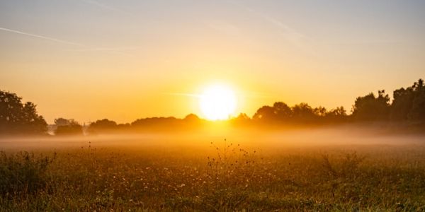 A serene landscape with soft morning light.